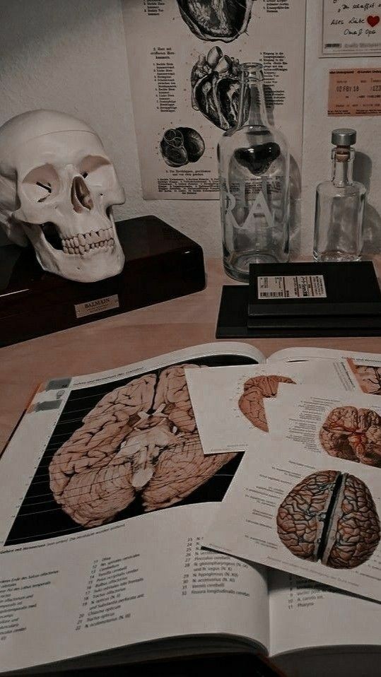 axelvampp's tweet photo. Me sinto um zumbi de tanto ficar próximo de cérebros 

#𝐑𝗈𝗎𝗍𝗂𝗇𝖾UU https://t.co/sN5dny4Mii