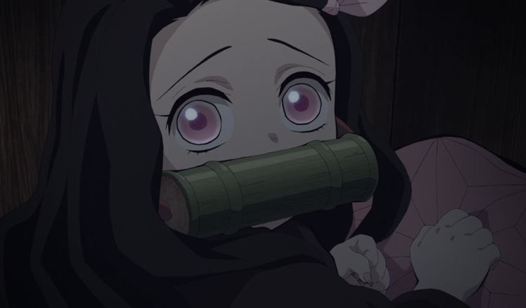 Daily Nezuko tweet media