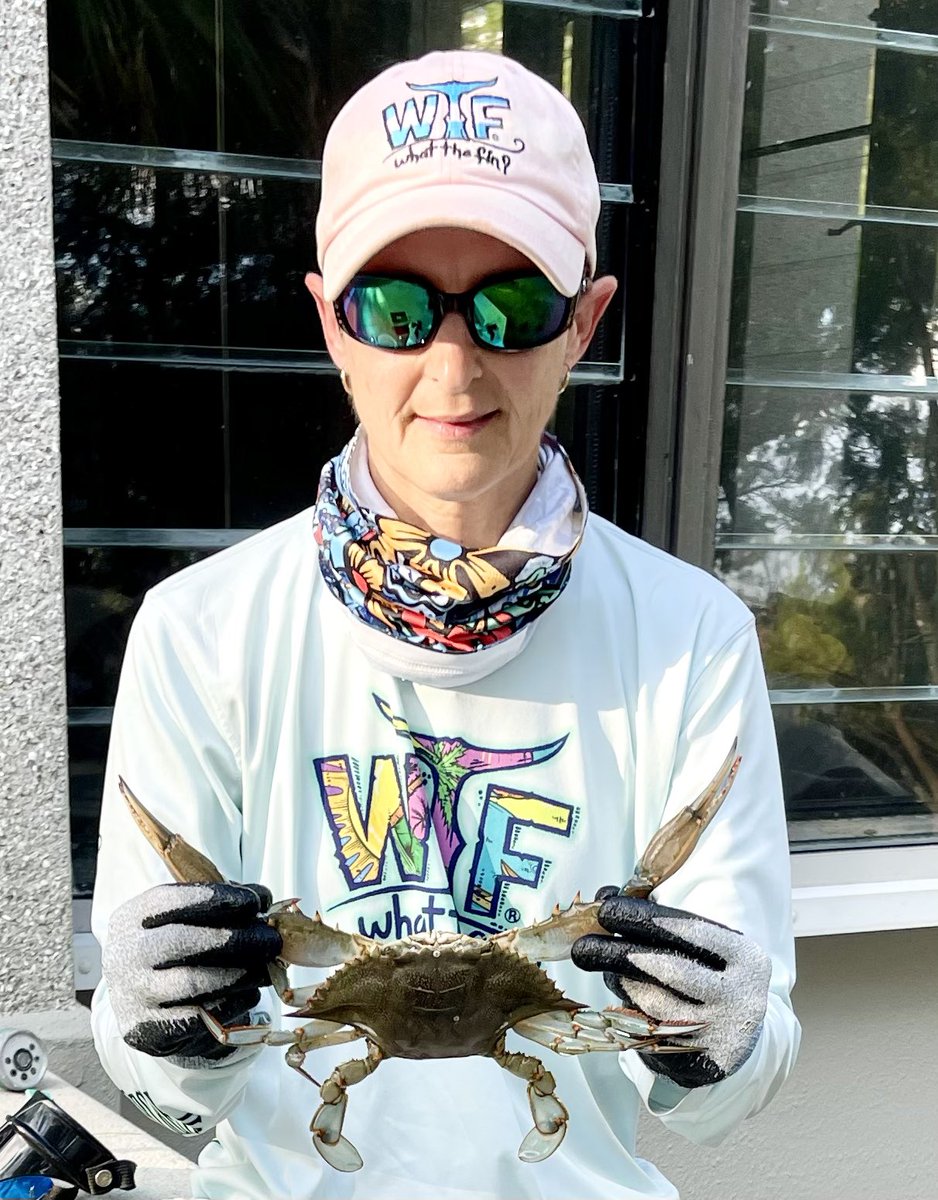 NoLimitsCharter's tweet photo. Been pulling some good ones out! #bluecrab #traptotable #reelpirate #whatthefin #crabbing https://t.co/bJ1JjfHNCt