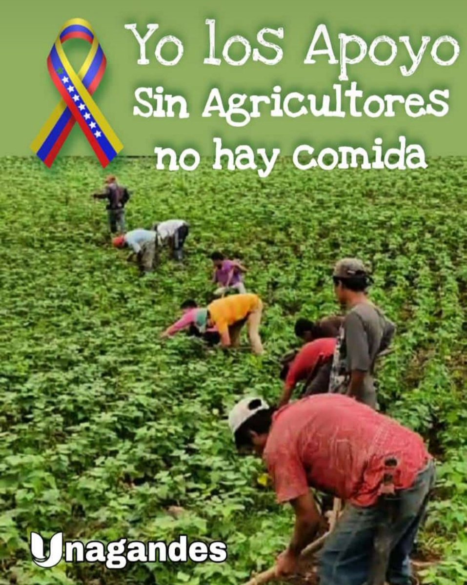 gersy06grita's tweet image. Doblar el lomo durante 10 u 12 horas no es fácil, para que ahora los metan presos por dar a conocer la crisis por la que atraviesa el campesino