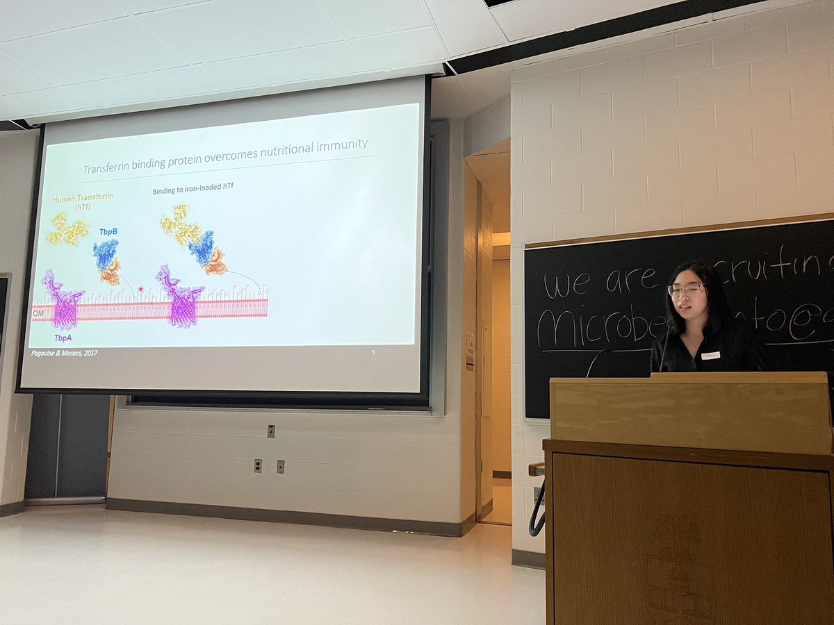 UofTEPIC's tweet photo. Natalie Au is up next presenting her work in @MoraesTrevor’s lab on characterizing the protective potential of monoclonal antibodies against TbpB (transferrrin binding protein B) from Neisseria gonorrhoeae. 

#IDMicro2023 https://t.co/VSHiaasX8c
