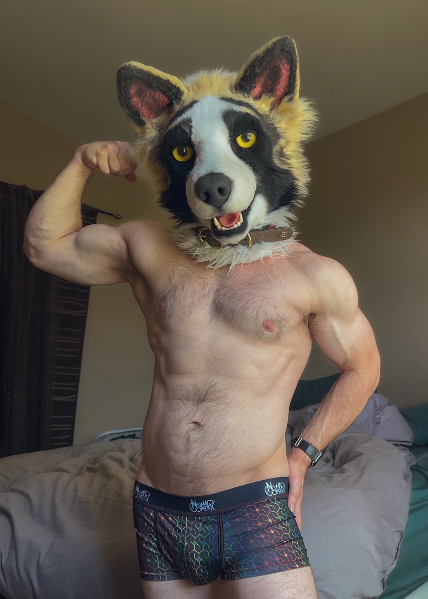 s for same swole (different Monday) 💪🐶