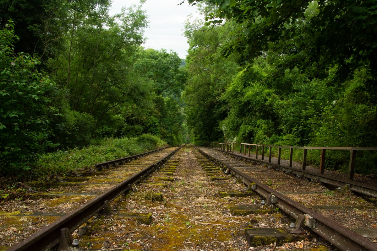 EL_Heath's tweet photo. That way inclined.
#shropshire #england #landscape #photography #18mm #18mmphotography #inclineplane #mineworkings #industry #industriallandscape #oddities #overlookedbeauty #urbanbritain #devoidofpeople #nikon #d7200 #summer #summercolours #landscapephotography #ayit https://t.co/a9fhMi7Wpy