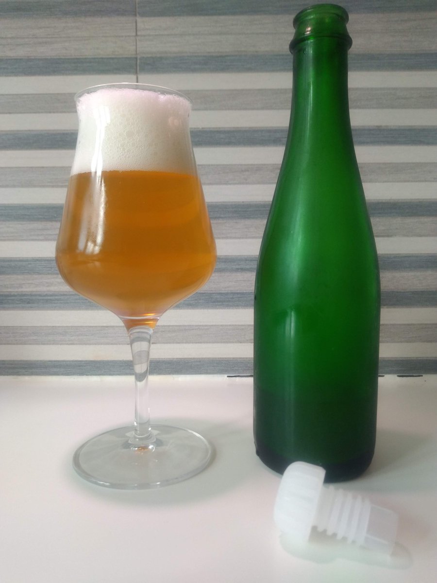 KeldlingBrew's tweet photo. Brew#146: Eval. "Growing Gold - Brett Saison"(https://t.co/aYKEk4oP5r, WLP653)
FG: 1001 ~5.6% ABV ~31 IBU
Aroma of Stonefruit/Citrus, Cloves, Hay and Herbs.
Med. Body &amp; Carb.
Dry taste of Citrus/Orange, Gloves/Cinnamon, Gum, Metal and Flowers.
#beer #homebrew #raw #vegan #organic https://t.co/2mu0oDpIJi