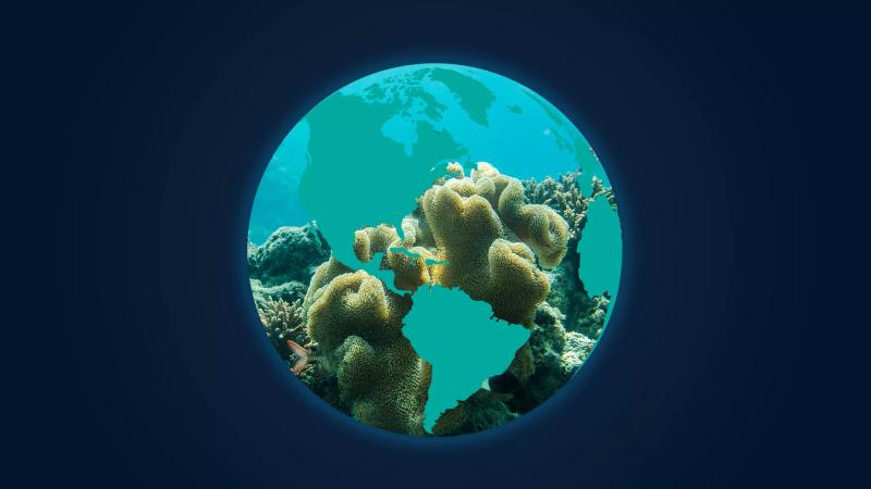 Here’s How Satellites Play a Pivotal Role in Monitoring the Health of Coral Reefs #satellitedata #remotesensing #coralreef #coralbleaching
nesdis.noaa.gov/our-environmen…