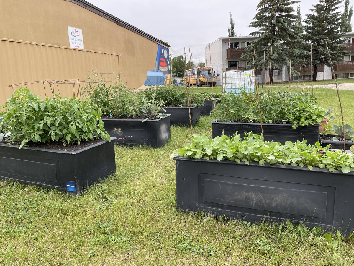 Jasper Place Curling tweet media