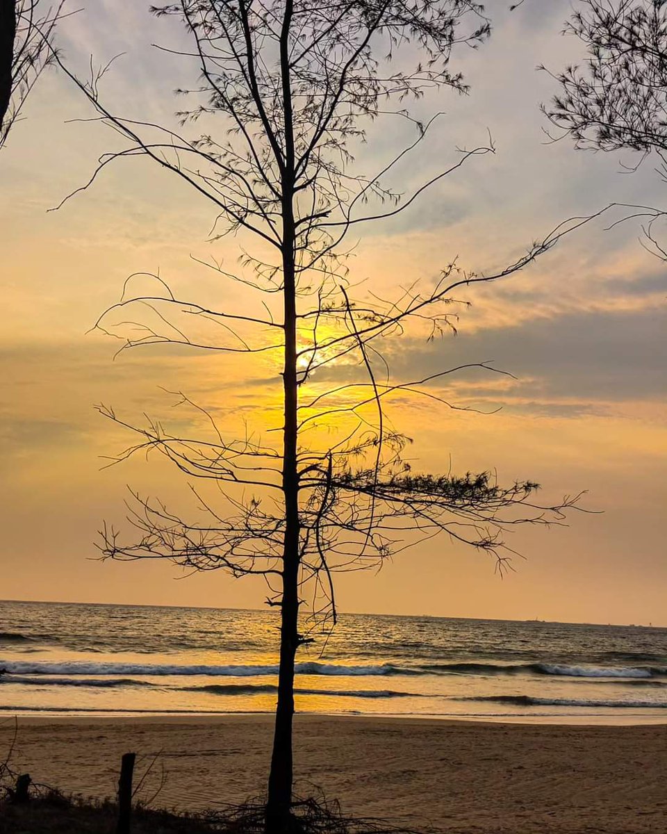 Lone Tree Standing

Sunset Silhouette at Guhagar Beach 

#sunsets #sunsetlovers #Sunset #sunsetphotography #sunsetbeach #silhouette #treesilhouette