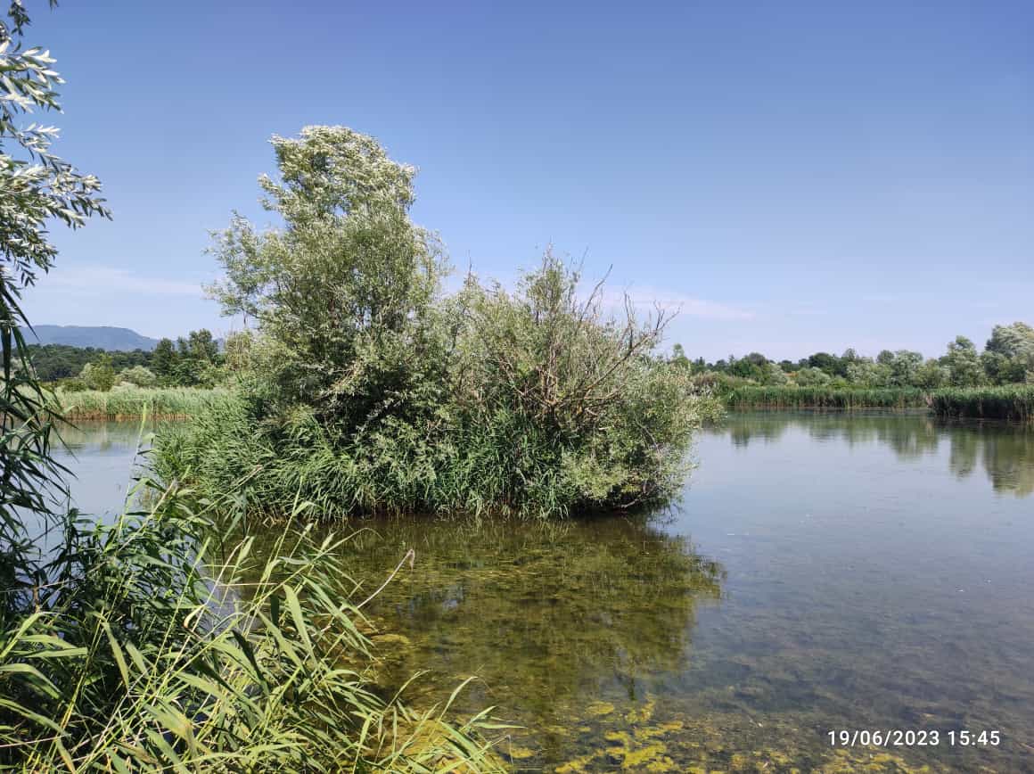 pennalp's tweet photo. Today #field #survey with an #interdisciplinary team of #hornithologists #erpethologists #agronomists and #hydrologists (from @DagriUnifi) to plan #biodiversity, #water #quality and #hydrometeorological #monitoring for #wetland #restoration in Tuscany. #isotopes #fluxes @ETIFOR https://t.co/CbAmKXWhzq
