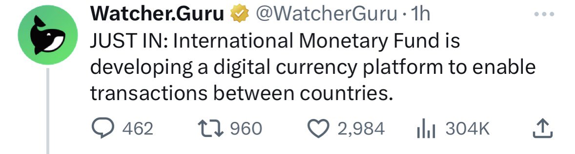 borovik tweet media