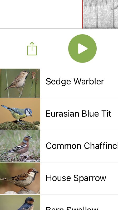 KathRSmart's tweet photo. At the pond this morning sedge warbler and meadow brown butterfly https://t.co/B8e4kf953N