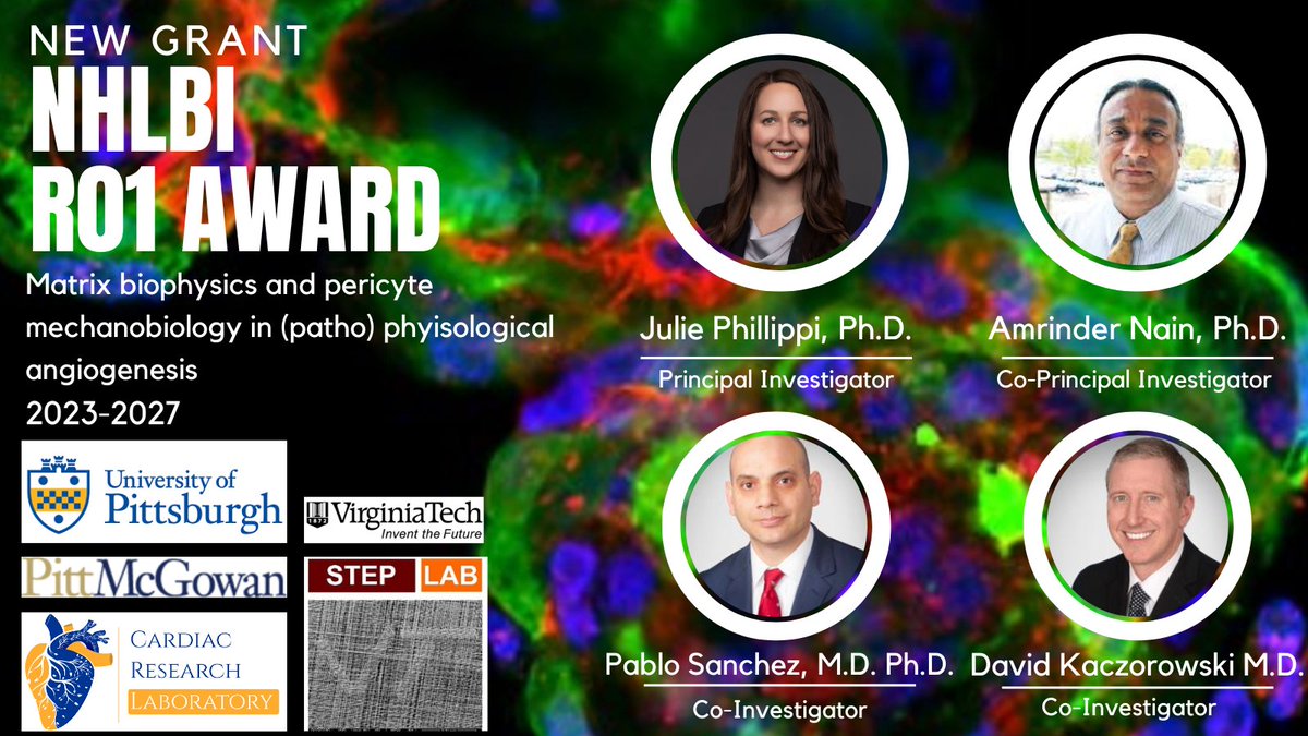 Congratulations to MPIs Dr. @JuliePhillippi and Dr. @Amrinder_Nain on their new $2.3M @NHLBI #R01 focused on #matrix biophysics and #pericyte #mechanobiology in #angiogenesis with Co-Investigators Drs. Sanchez and Kaczorowski! @HviUpmc @VirginiaTech_ME @McGowanRM @AppliedCVB