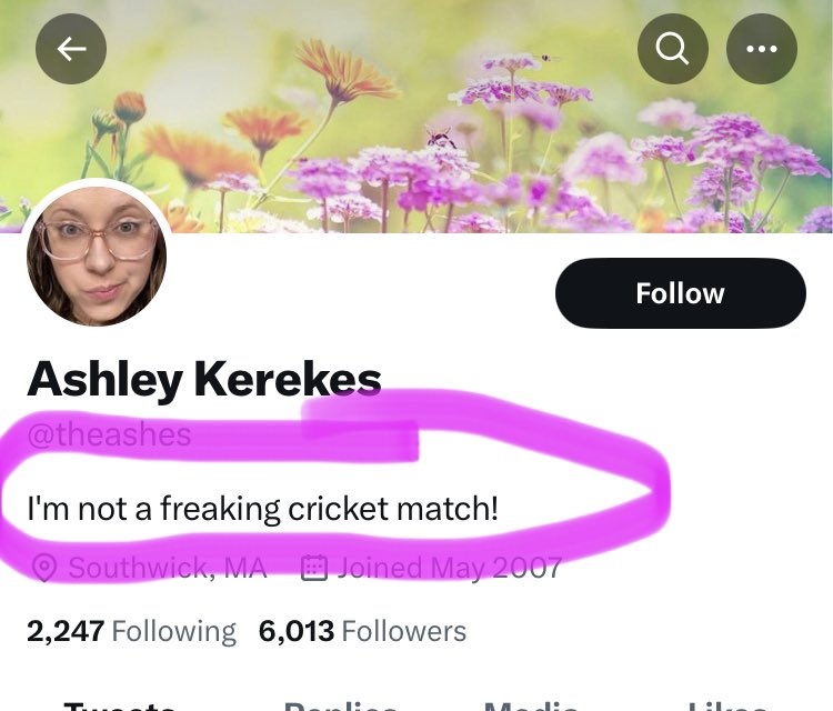 ✨🌟Ms Retro Sparkly Knickers🌟✨ tweet media