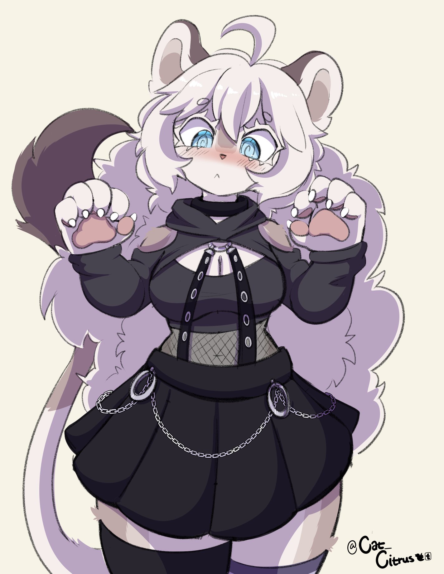 Citrus hot sale for cats