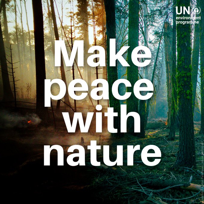 Humanity is waging war on nature.

Yet, without nature and biodiversity, human survival is at stake.

Today marks the 100-day countdown to #PeaceDay –  a reminder everyone has a role to play in making peace with nature.

un.org/en/observances…

<a href="/UNEP/">UN Environment Programme</a>