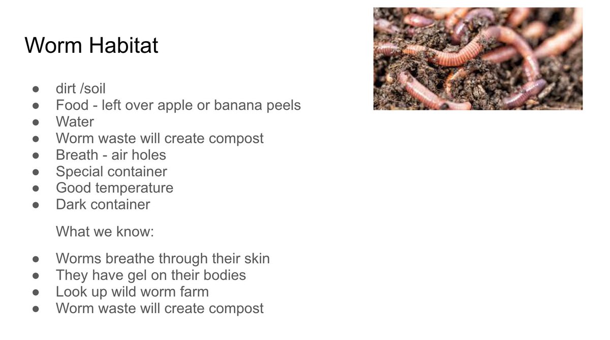 We have been learning about living things in our classroom over the last term, &amp; 1-4 decided they wanted a class pet...WORMS! Check out part of our Worm Inquiry below. We kept the worms for one week. They were released back into their natural habitat today. <a href="/DesmondHDSB/">Viola Desmond Public School</a>