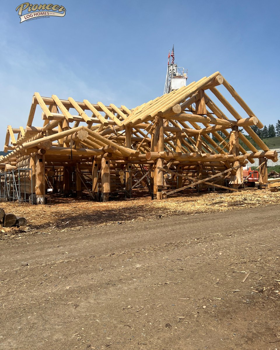 Another massive full-scribe Pioneer log home build nears completion! This Western Red Cedar build features an intricate roof structure, along with just being an absolute behemoth of a log home! #loghome #stihl #husqvarna #custommade #construction #pfanner