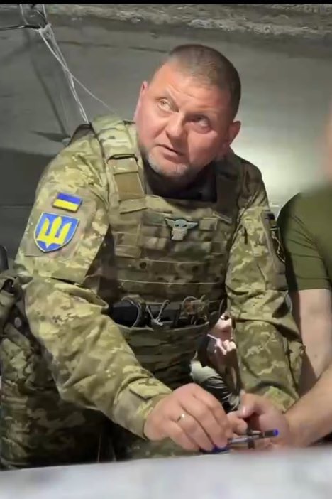 Russian Market on X: Ukraine's Commander-in-Chief Valery #Zaluzhny proudly  displays a chevron featuring the popular Baby Yoda character on his  bulletproof vest. @MarkHamill  / X