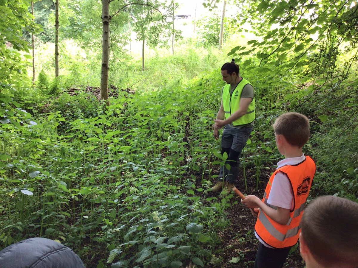 Luncarty Primary tweet media