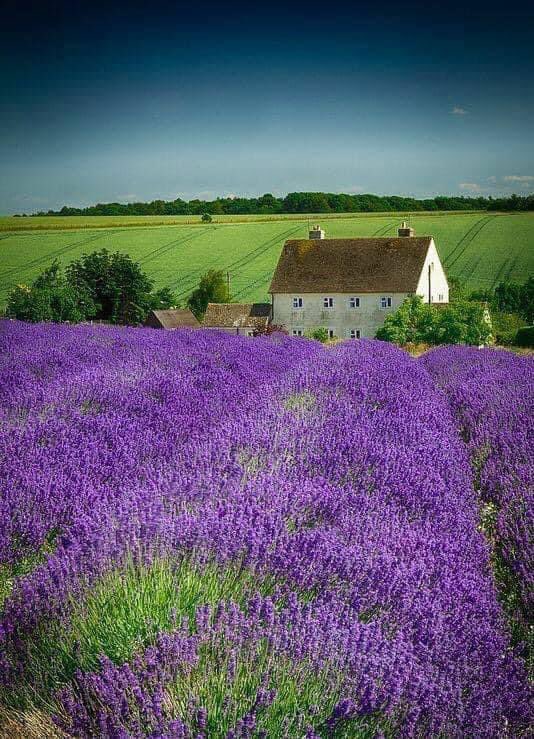 Gloucestershire, England