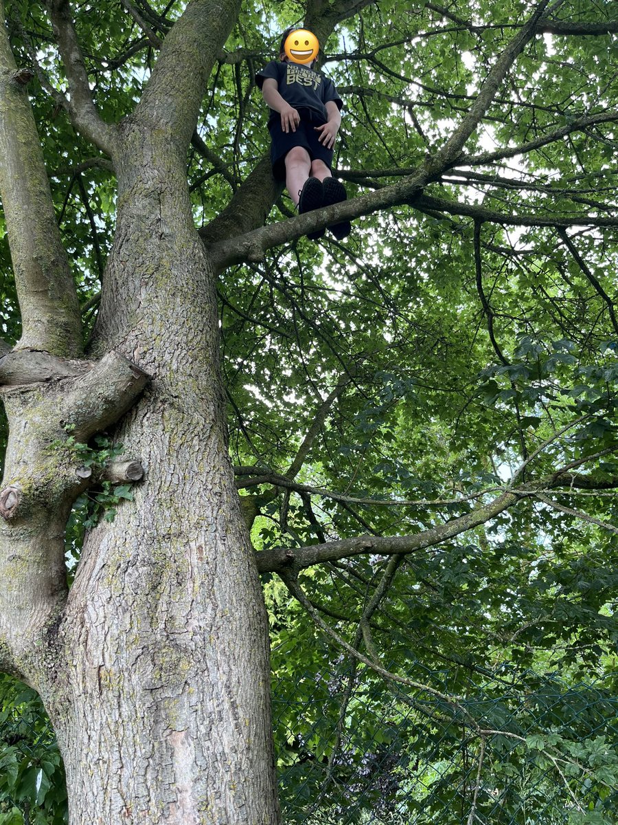 Teach Me Happy (@teachmehappyap) on Twitter photo Climbing trees at break time 🌲 🌳 🙊 #ThisisAP #alternativeprovision Climbing trees at break time 🌲 🌳 🙊 #ThisisAP #alternativeprovision