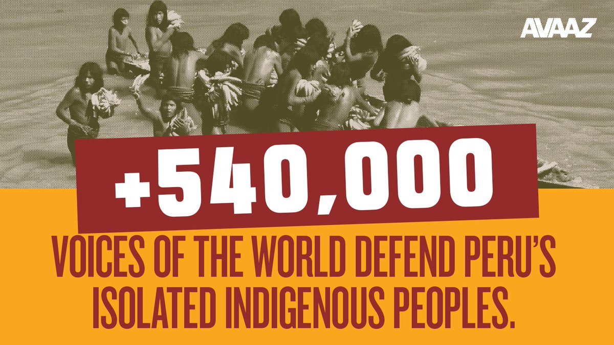 The rights of the Isolated Indigenous Peoples of Peru are under attack. 🤨 Read more about why and what you can do to help defend them now! Keep reading. Follow the thread. 🧶

#DefensadelosPIACI  #DefendTheDefenders
