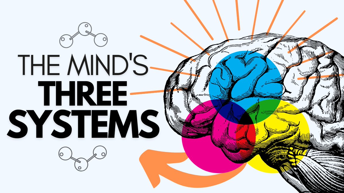 StoicCompassion's tweet photo. Is it hard for you to feel safe? Do you jump between anxiety &amp; ambition without knowing why? Dr. Paul Gilbert identified 3⃣ emotional systems in our minds:
The Threat System😨
The Drive System📈 
and The Soothing System💆 
Watch the video to learn how they interact. Link⬇️ https://t.co/ac2v8yNWEP
