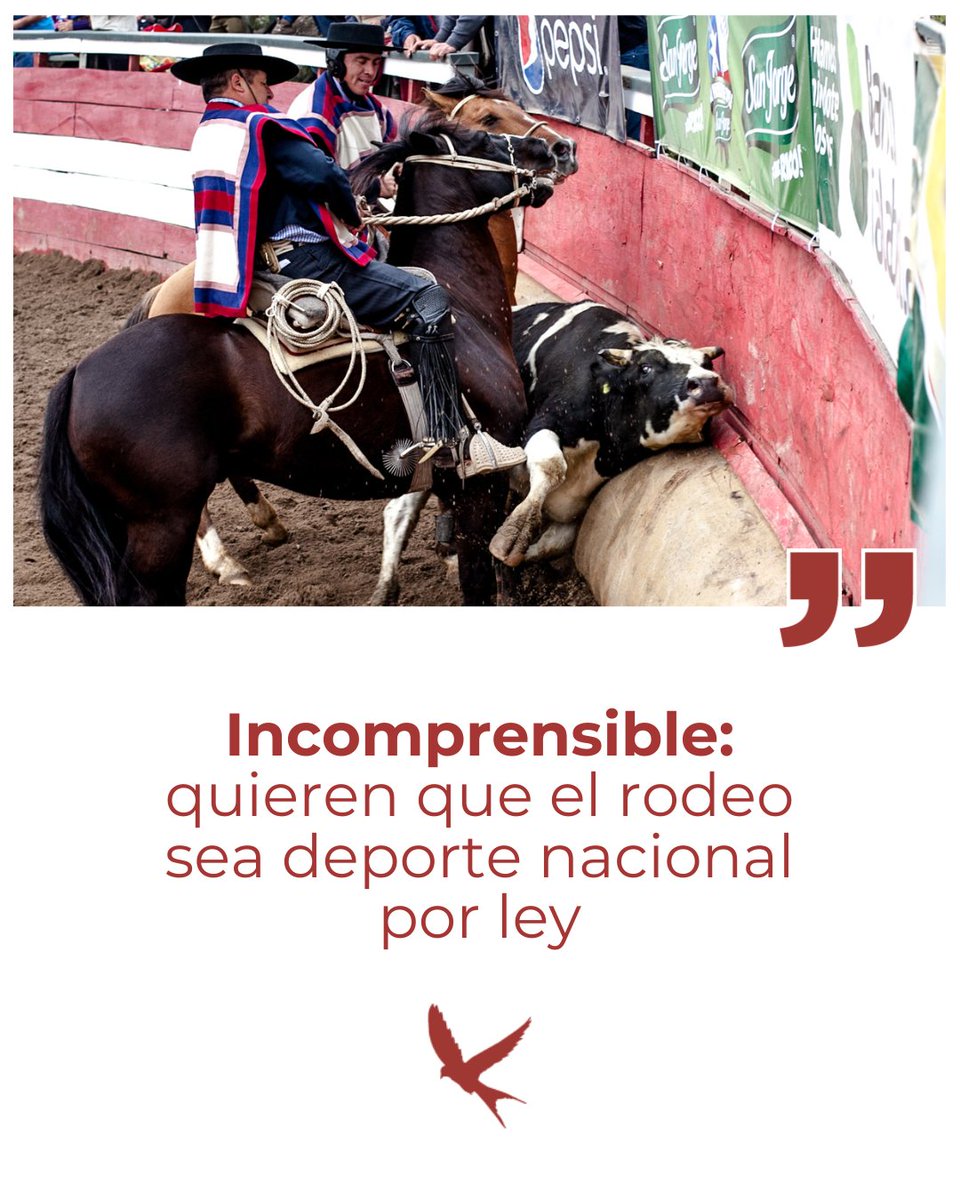 Animal Libre Argentina tweet media