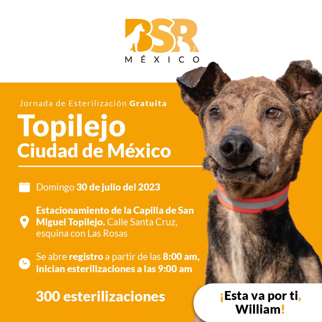 Brigada Sin Raza tweet media
