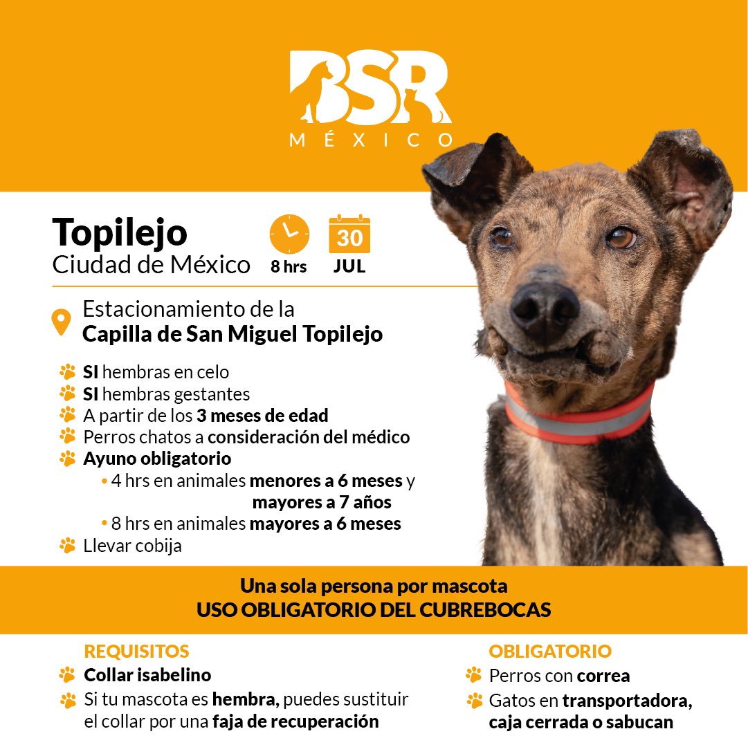 Brigada Sin Raza tweet media
