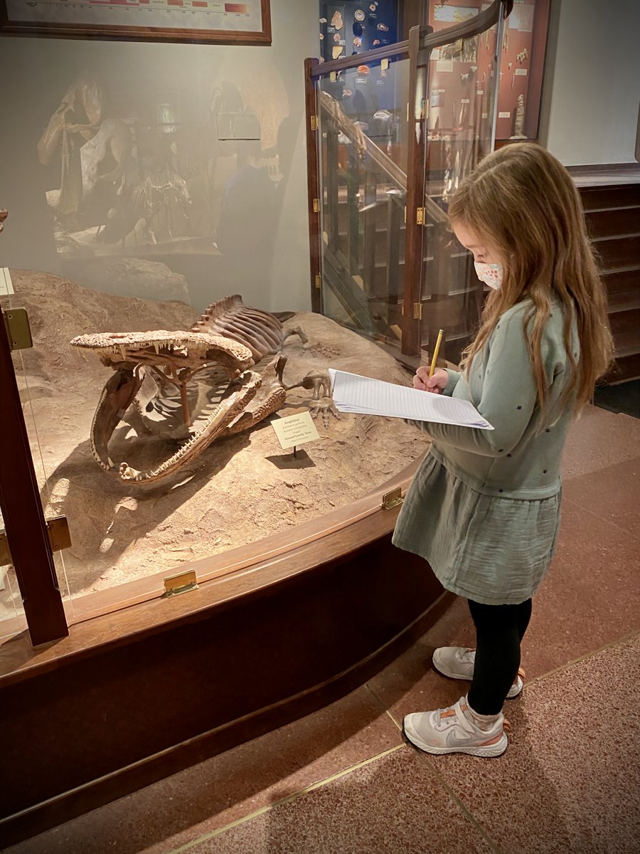 @JonFisher74 @UTAustin It really is a hidden gem! Saw it for the first time when my little went there for a school field trip.
#UTAustin #Museum #TexasMemorialMuseum #FossilsAreFun @TexasMemMuseum @Statesman #UT #Austin #Texas #FieldTrip