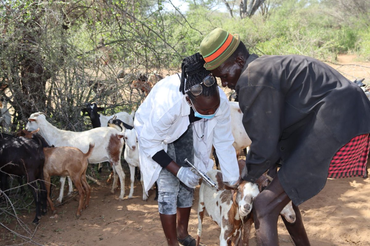 USAID Nawiri - MercyCorps tweet media