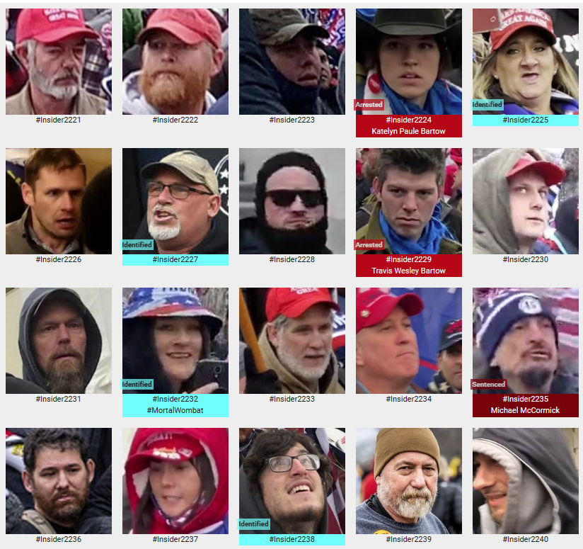 They stormed the Capitol!  We call them #SeditionInsiders because they were inside the building. Recognize anyone? If so the FBI would like to hear from you. #CapitolAttack Please note the numbers on these images are NOT FBI numbers seditionhunters.org/seditioninside… #TheRealJ6