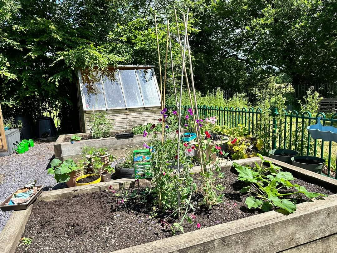 What a feast we had in Gardening Club today! We harvested our broad beans, sampled our spinach as well as tending to our raddish.🌱🥕🥔🥗🫛