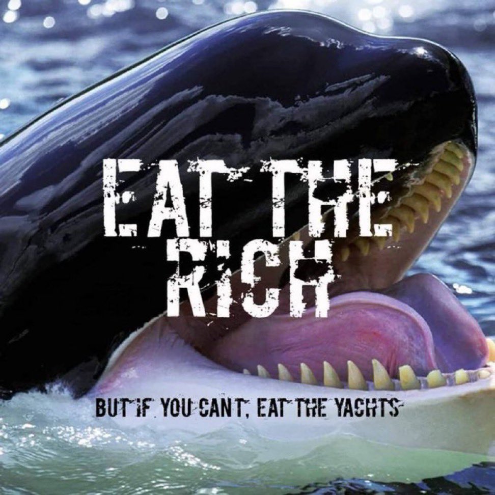 @mousdrvr Will the orcas accept us into their community, though? I wonder... #orcas #EatTheRich