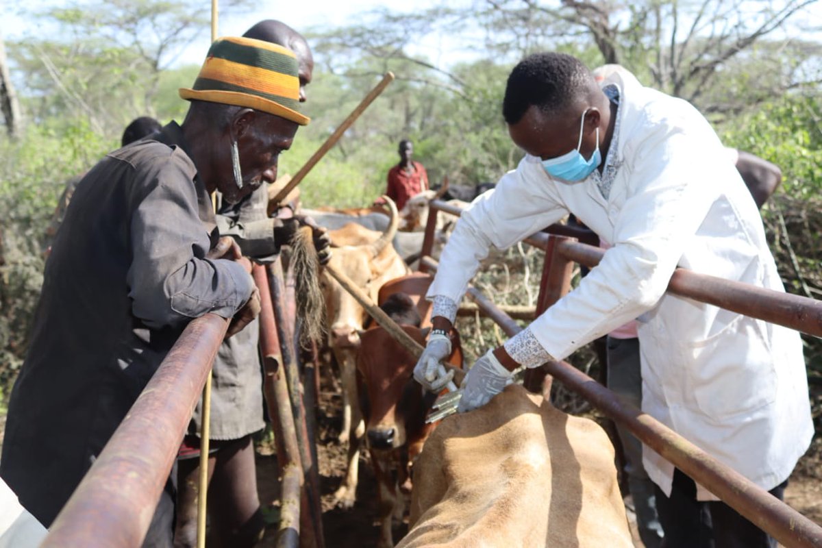 USAID Nawiri - MercyCorps tweet media