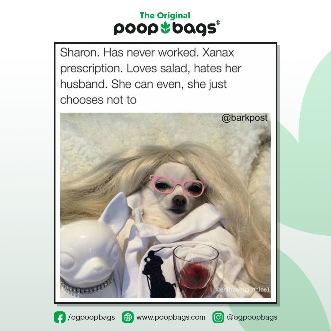 Ohmy, Sharon. 🥴 Can you keep up? 🤷‍♀️😆

#poopbags #theoriginalpoopbags #dogessentials #dogloversunite #dogsofinstagram #doglover #dogdaily #doglovers #dogcostume #dogcomedy #dogmeme