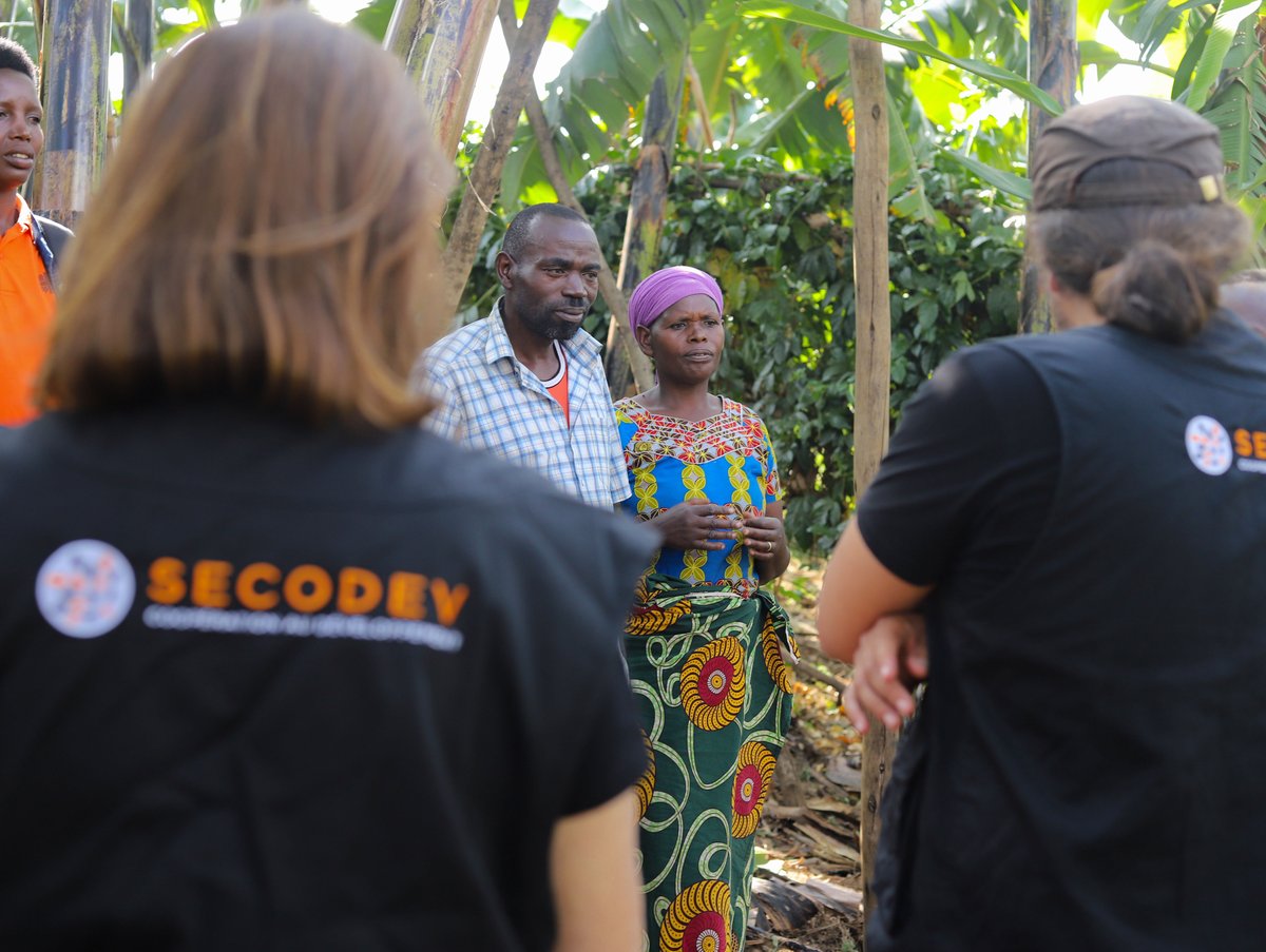 CByumba's tweet photo. The director of @CByumba together with #SECODEV's team visited different beneficiaries 'Activities that are  supported by #SECODEV project.

@CaritasSuisse @caritas_ci  @CaritasGENEVE @RwandaNorth @GicumbiDistrict  @MinistryofEnvi2 @MinistryOfAg https://t.co/Q99pWpVz5x