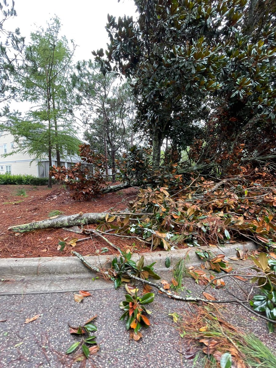 James Spann on Twitter "Likely tornado damage at Sandestin/Laurel