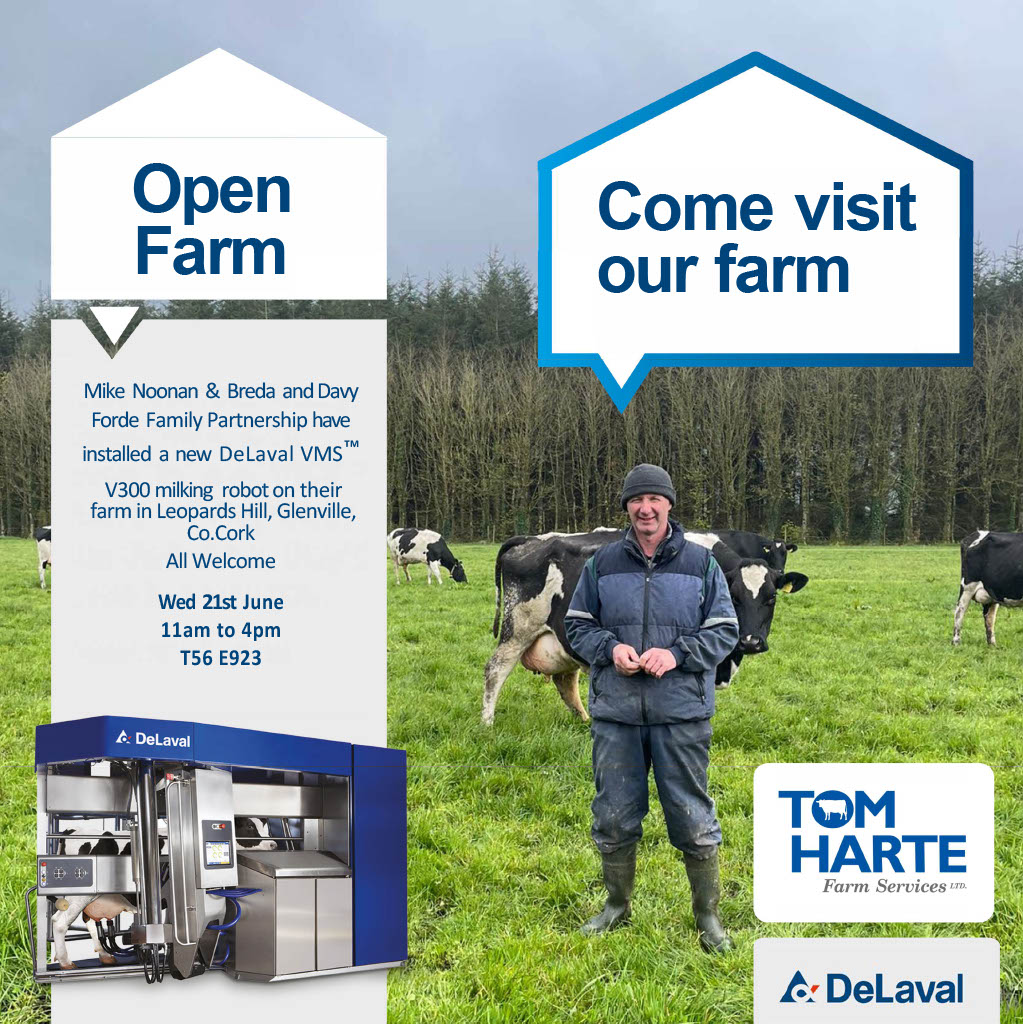 We are really looking forward to our Open Day. It is taking place this Wednesday from 11am to 4pm in Glenville. All are welcome!