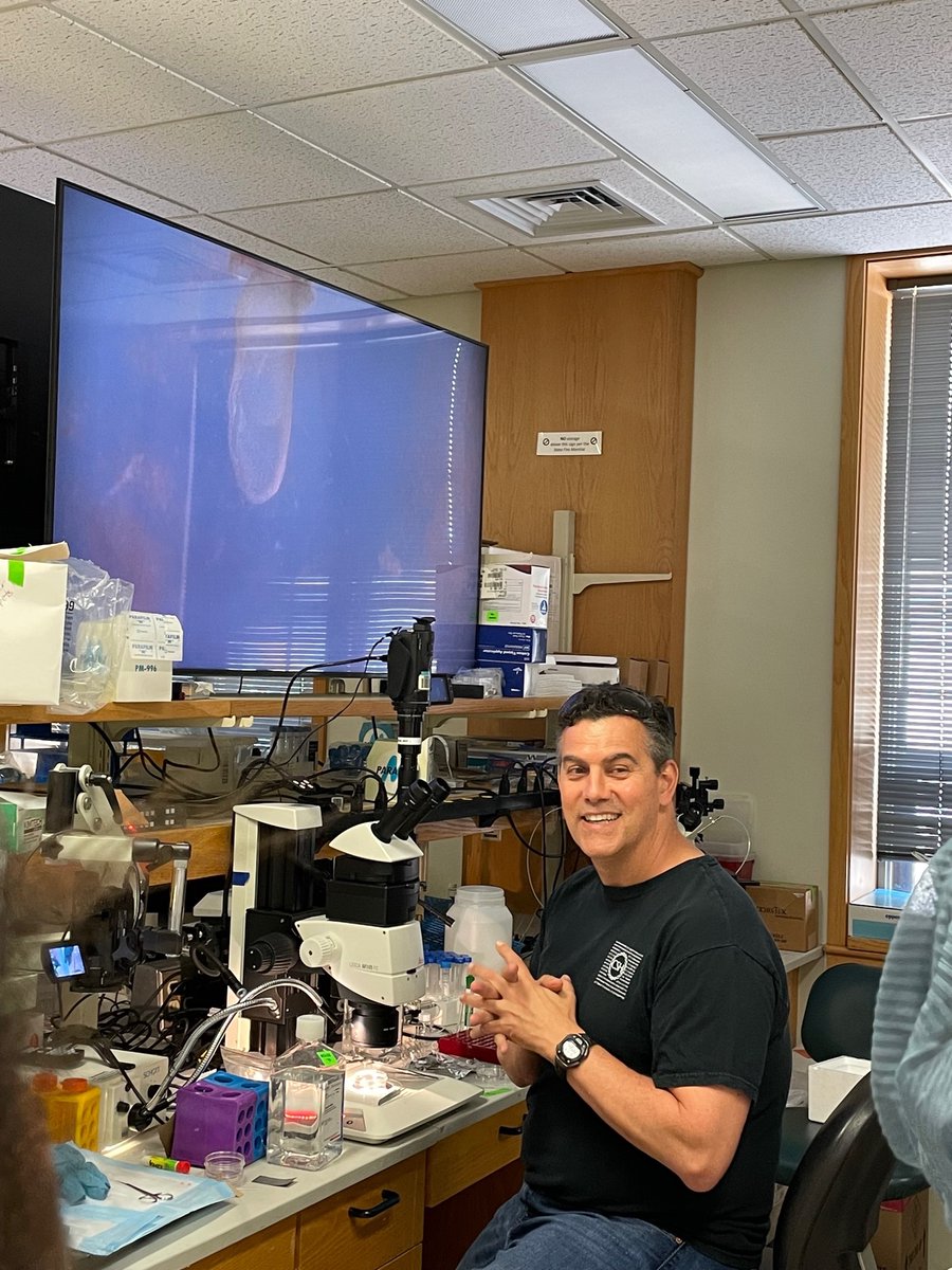 CSHL Mouse Course (@cshlmousecourse) on Twitter photo Paul Trainor <a href="/aussiebiologist/">Paul Trainor</a> <a href="/ScienceStowers/">Stowers Institute</a> <a href="/DevelopmentalDy/">DevelopmentalDynamic</a> arrived last night after 1am, lectured for 3 hours this morning and is currently teaching E7.5 roller culture. #IronMan Paul Trainor <a href="/aussiebiologist/">Paul Trainor</a> <a href="/ScienceStowers/">Stowers Institute</a> <a href="/DevelopmentalDy/">DevelopmentalDynamic</a> arrived last night after 1am, lectured for 3 hours this morning and is currently teaching E7.5 roller culture. #IronMan