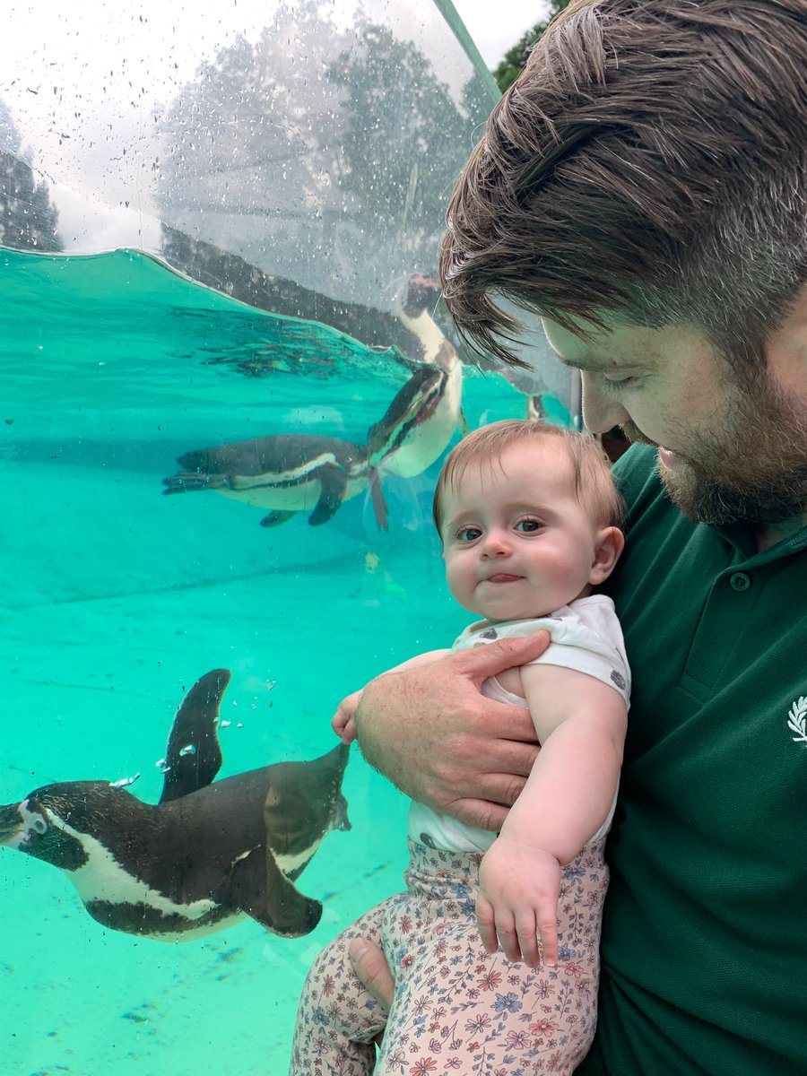 Pob treated me to a lovely day at the zoo for Father's Day! Xx