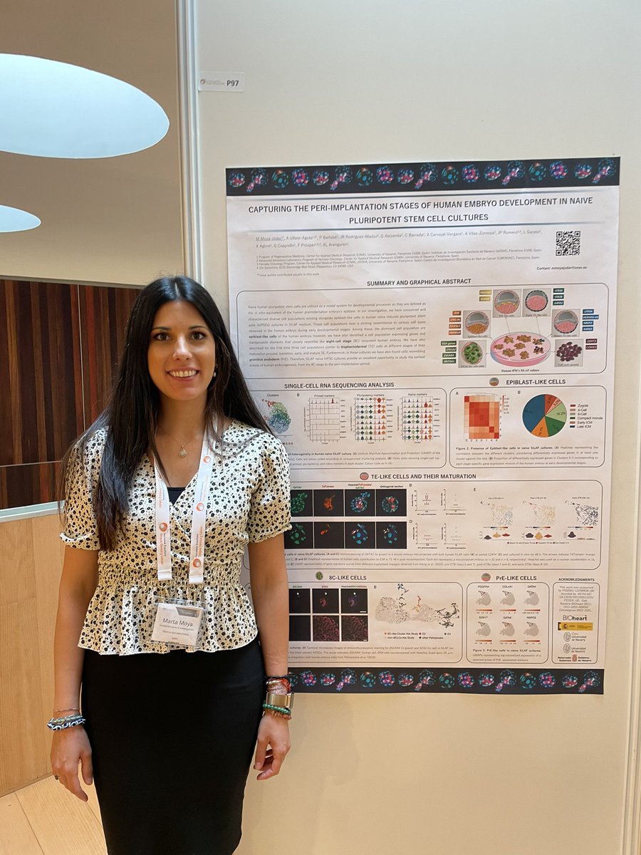 BioheartProject's tweet photo. Today, June 19th and tomorrow, our postdoctoral researcher, Dr. Marta Moya-Jódar, is presenting her latest results at the @SETGyC congress 2023. Read us in our QR code! #bioheart https://t.co/JizbNVkw43