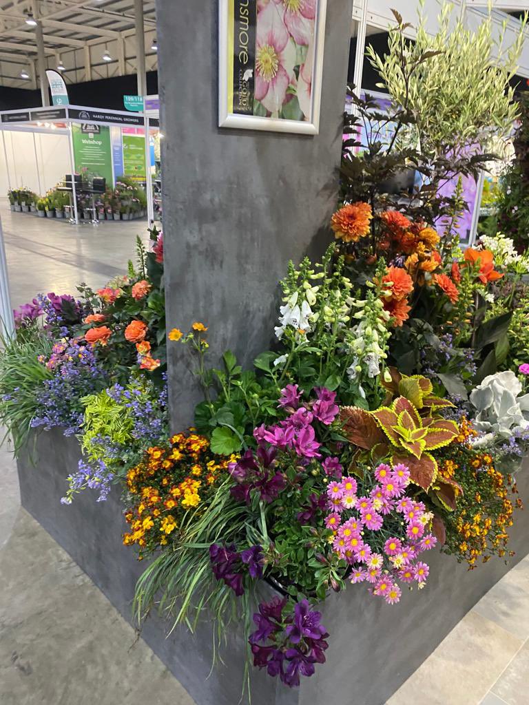 Allensmore Nurseries tweet media