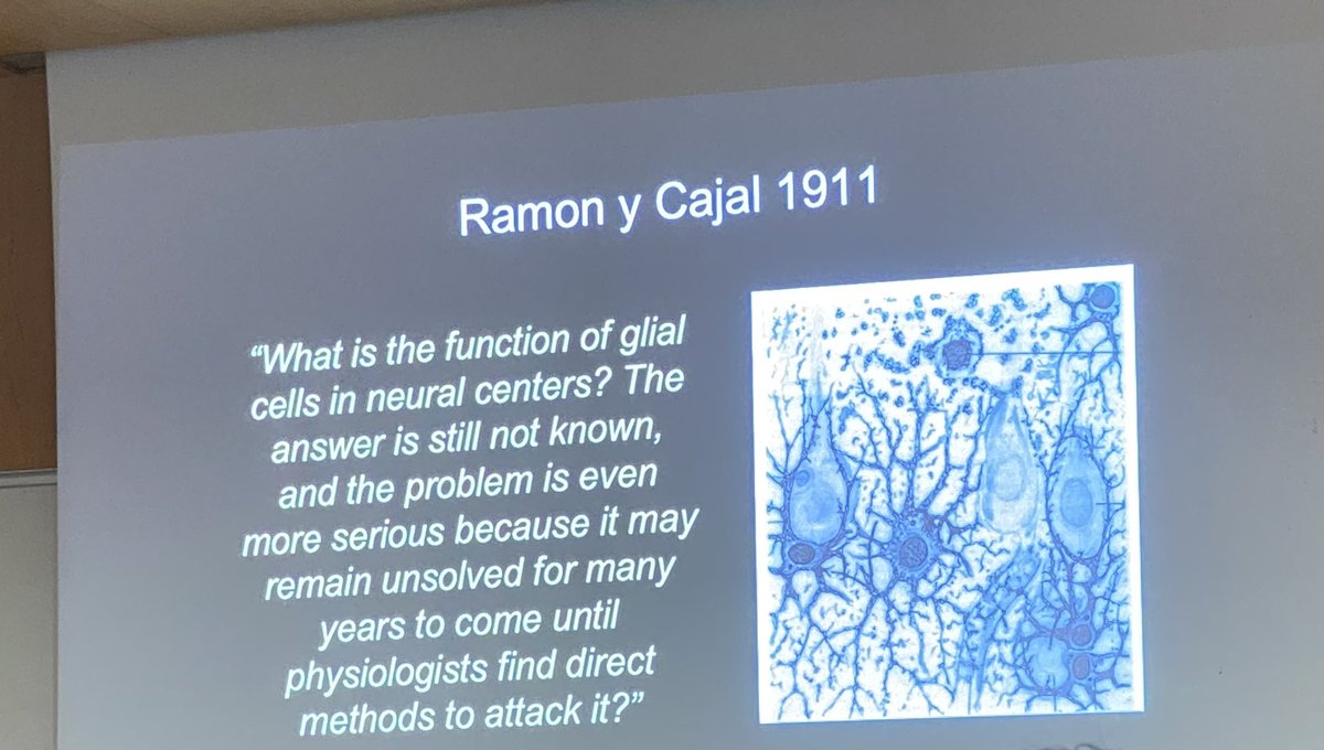 Training at @Cajal_Training … 110 years ago Cajal Saïd; it may remain unsolved until physiologist find better methods to study Glia! Said today by directors @c_eroglu @staci_bilbo @ThoraKaradottir ! Let’s see how far we take it from this school!