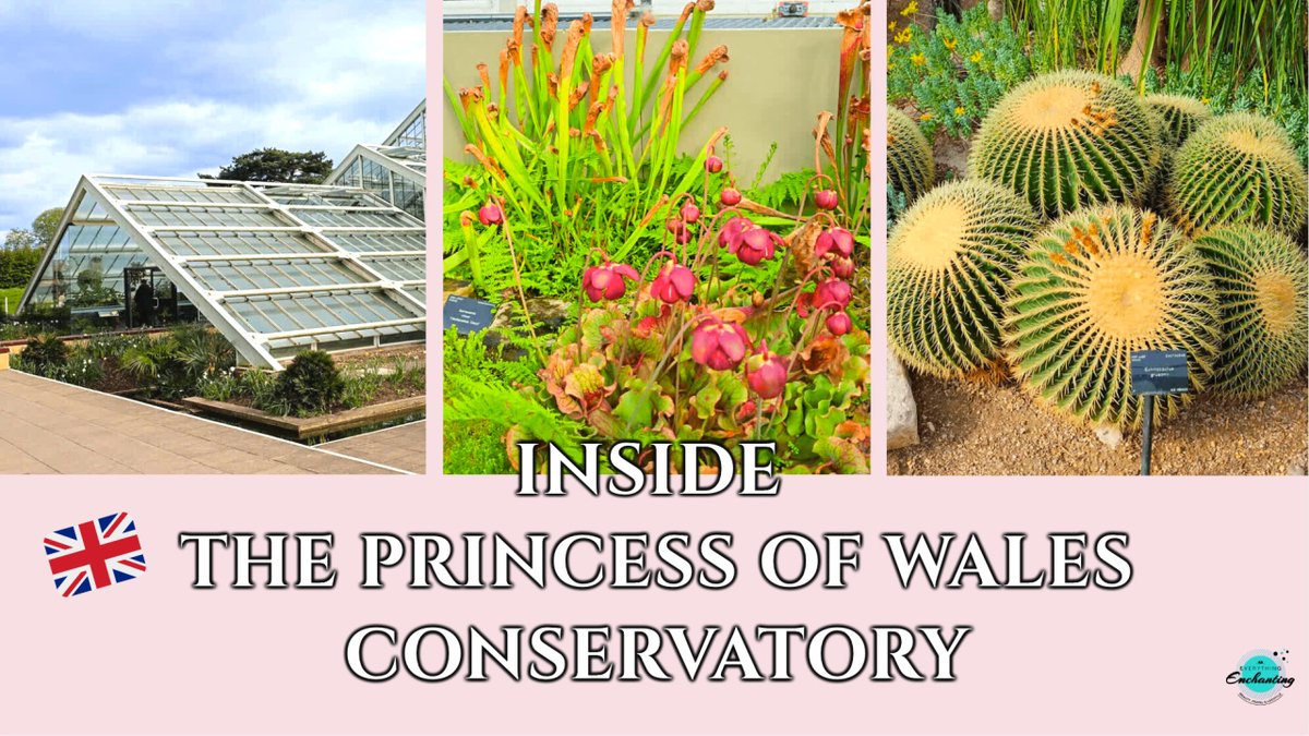 ~ #travelpost ~ Check out what's inside the @kewgardens London Princess of Wales Conservatory on my channel #anaeverythingenchanting 😍
➡️youtu.be/WNLD8KWuJOo 

#KewGardensUK #botanicgarden #GlasshouseTour #travelvlog #MustSee #UKYoutuber