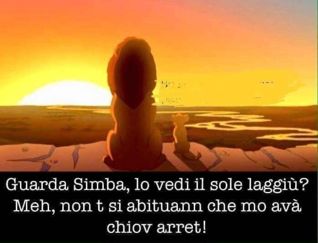 Traduzione dal barese:
-Guarda Simba, lo vedi il sole laggiù? Beh non ti abituare che a breve pioverà di nuovo!😅😂😂
#BuonaserataATutti