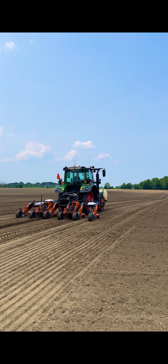 Margaret Alexiou (@margaretalexiou) on Twitter photo New biological fungicide #Minuet going on some beets this afternoon here in Bradford, ON.
#ItsGrowTime <a href="/Bayer4CropsCA/">Crop Science Canada</a> New biological fungicide #Minuet going on some beets this afternoon here in Bradford, ON.
#ItsGrowTime <a href="/Bayer4CropsCA/">Crop Science Canada</a>
