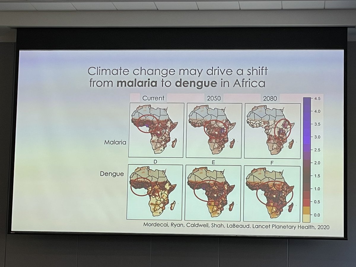 Deadly mosquitoes and how they are impacted by climate change. #Malaria #Dengue #ClimateChange #GlobalHealth