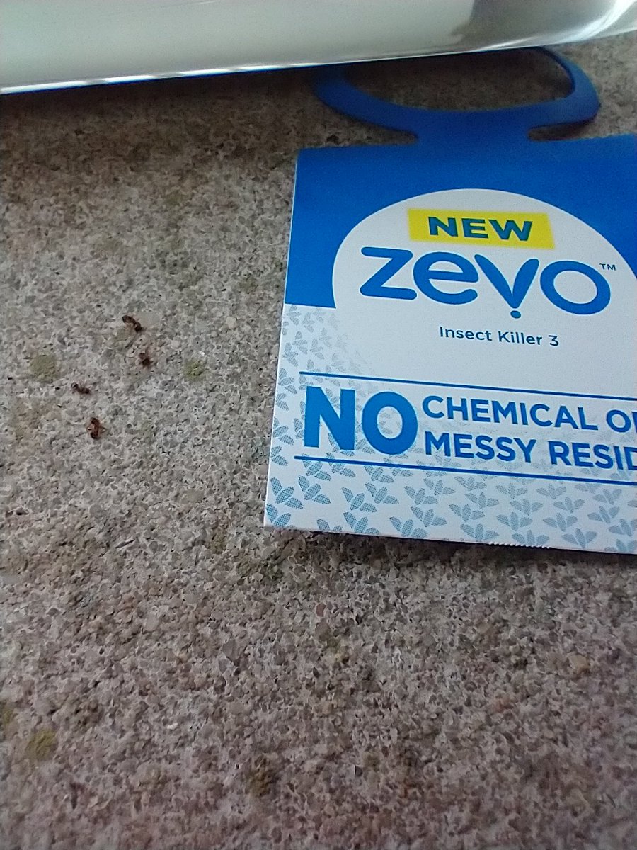 luciana_peter1's tweet photo. #tryitsampling @zevoinsect I was surprised that the spray actually kills on contact. I like this formula because it's potent, yet safe for pet areas! Nontoxic and I feel comfortable using it on my birdfeeder and around my dog. I recommend this @Bazaarvoice
https://t.co/bgz5cFQF5G https://t.co/pGsneMK1mN