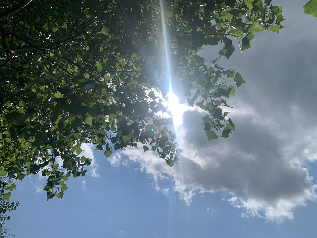 It's a difficult day, but then I stop and realize I'm sitting under the sun and clouds and blue sky with a light breeze rustling the tree leaves - just staying in and appreciating the moment, and sharing it with y'all ❤️